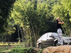 -红山村