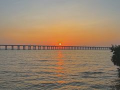 -宝安西湾红树林湿地公园