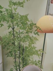 -变美丽半永久纹眉连锁·机器野生眉•洗眉