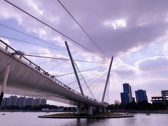 -映月湖中央公园