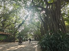 -深圳野生动物园