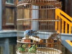 -鱼桥巷·美学川菜