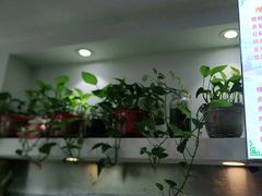 -螺大蛳柳州螺蛳粉·火锅·热干面(西城永捷店)