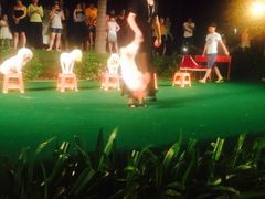 -渔家火锅·海鲜自助餐·演艺(亚龙湾天域酒店)