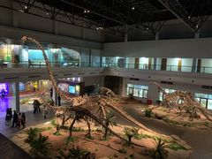 -自贡恐龙博物馆