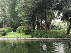 -晓港公园