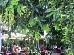 -Fern Forest Cafe