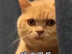 -翔峰炭火鳗鱼(悦泰街里公寓店)