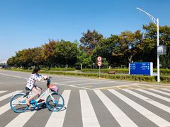 -南京奥林匹克体育中心-体育馆