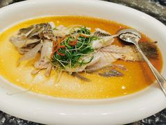 清蒸老虎斑-潮府馆·非遗潮州菜·世纪公园(新国际博览中心店)
