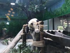 -灵玲国际马戏城