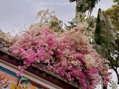 -深圳国际园林花卉博览园
