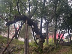 -普陀宗乘之庙(小布达拉宫)