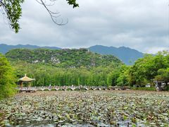 -星湖旅游景区七星岩