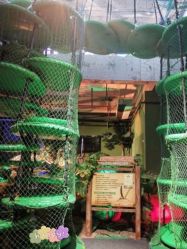 -恐龙探索乐园(磁器口店)