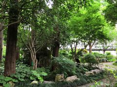 -上海醉白池公园