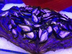 -小天鹅戴斯酒店鲸鲨百汇创作料理
