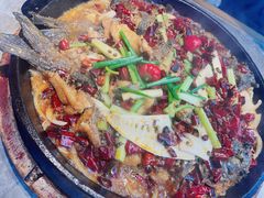 -老板恋上鱼(恒隆广场店)