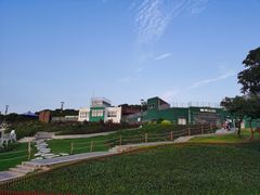 -立新湖公园