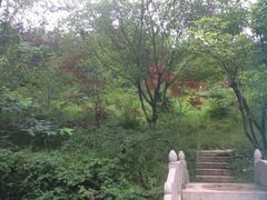 -石老人观光园
