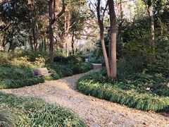 -长广溪湿地公园