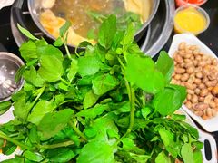 西洋菜-丫丫汤膳打边炉(宏府408坊店)