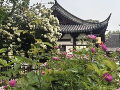 -常熟方塔园