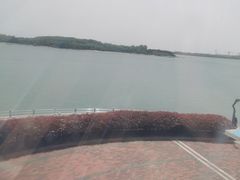 -琴岛之星摩天轮