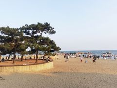 -老虎石海上公园