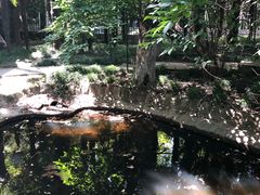 -华东政法大学(松江校区)