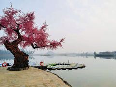 -普者黑风景区-青龙山