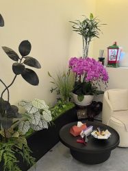 -海涛医疗美容·面部抗衰·注射美鼻