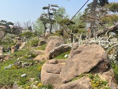 -罗红摄影艺术馆