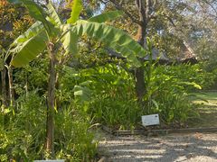 -大象粑粑造纸公园