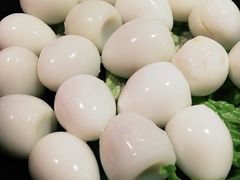 -二荆条·蜀鲜汇城市森林火锅