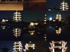 -桂湖森林公园