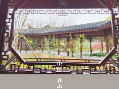-上海滨江森林公园