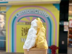 -柠檬车露(卖草地店)