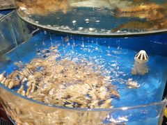 -沿海渔家院蒸汽海鲜·东北菜(东戴河店)