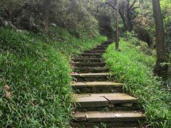 -杭州半山国家森林公园