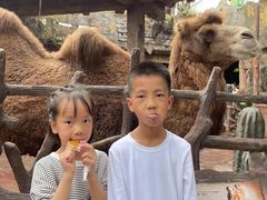 -长鹿旅游休博园