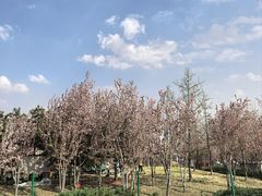 -首创奥特莱斯(北京店)