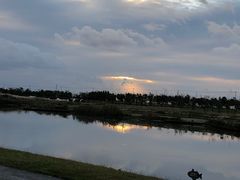 -春花秋色城市公园