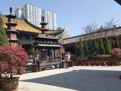 -真庆观