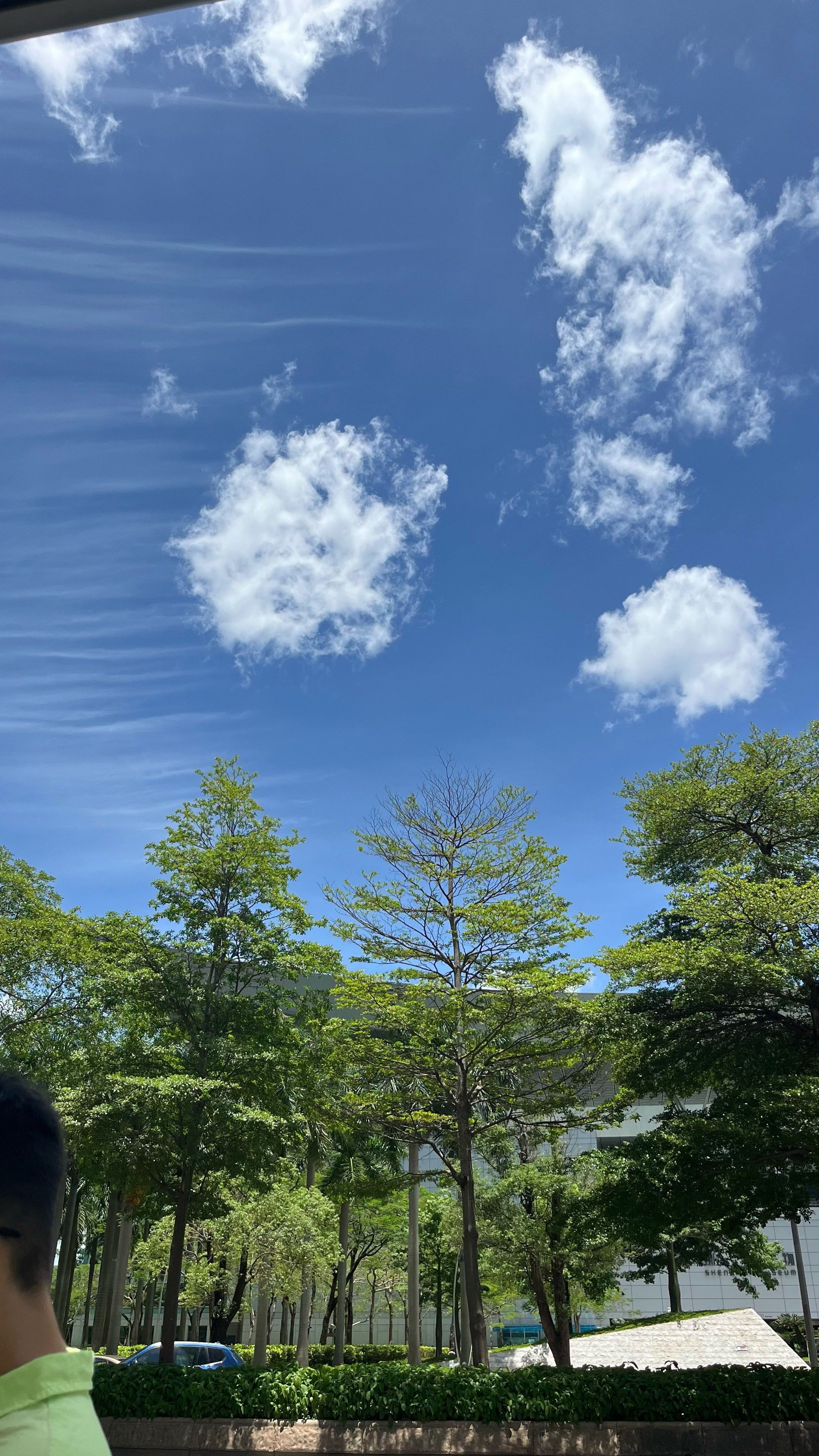 我拍到的治愈系风景