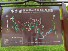-牛背梁国家森林公园