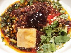 -袁老四重庆老火锅(桐梓坡店)