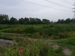 -桤木河湿地公园