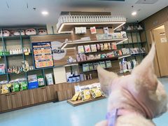 -萌兽医馆·犬猫专科·眼科中心·宠物医院(朝阳门分院)