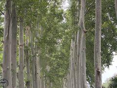 -河南省黄河迎宾馆